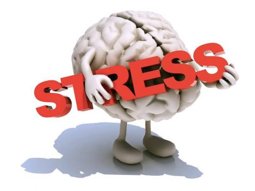 Stress: cos’è e come affrontarlo con l’aiuto della fitoterapia
