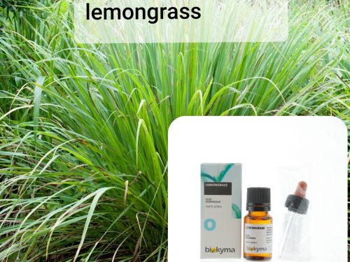 Olio essenziale di Lemongrass: proprietà ed impieghi