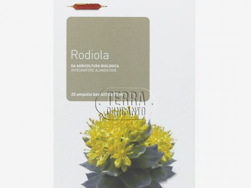 La Rhodiola rosea: “l’adattogeno “estremo”. Proprietà e controindicazioni