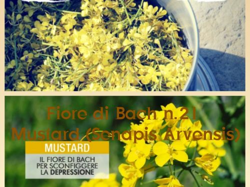 Fiore di Bach Mustard: quando si sprofonda in una tristezza infinita