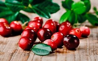 Cranberry: un prezioso alleato contro la cistite