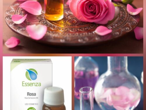 Olio essenziale di rosa: proprietà e impieghi in aromaterapia