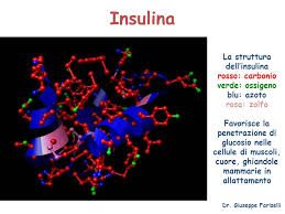Insulina e fattore di resistenza all’insulina