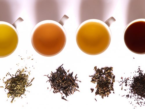 Tè: una bevanda ricca di proprietà salutistiche – I diversi tipi di tè