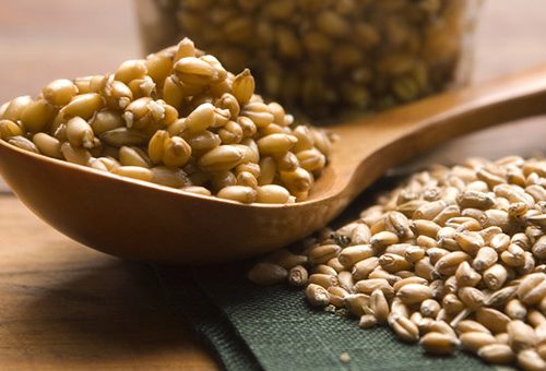 Germe di grano: proprietà, benefici per la salute e controindicazioni