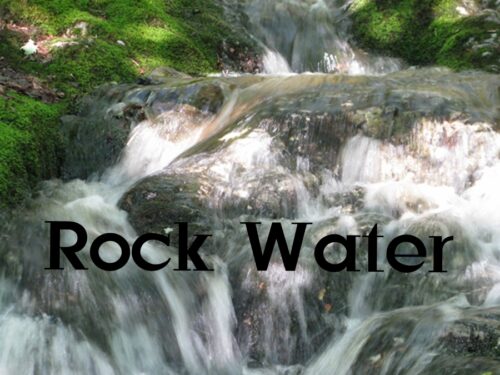 Rock Water: tutto quello che c’è da sapere sul fiore di Bach