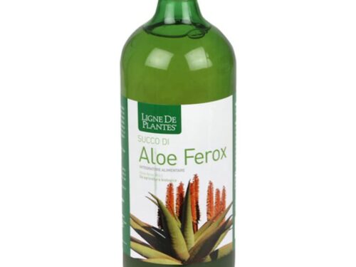 Aloe ferox: tutte le proprietà di un’aloe straordinaria e  controindicazioni